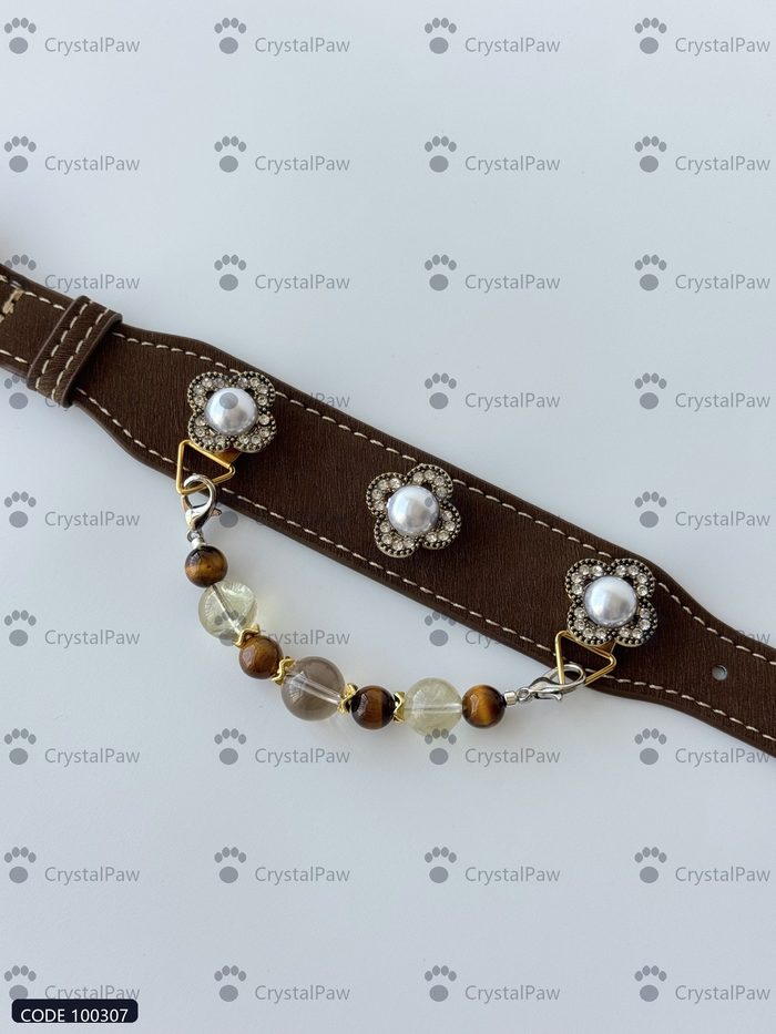CrystalPaw 100307 1